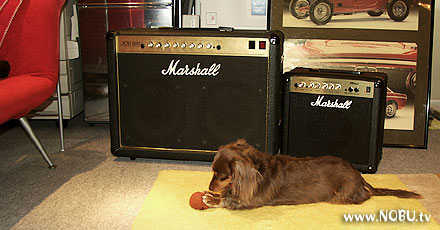 Marshall