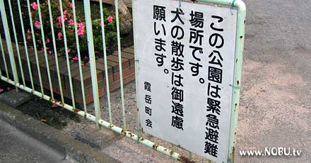 意味不明