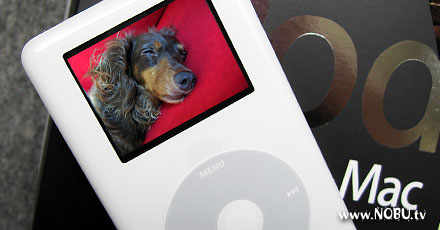 iPod