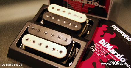 DiMarzio