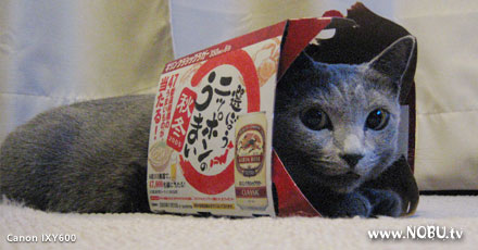 Milky