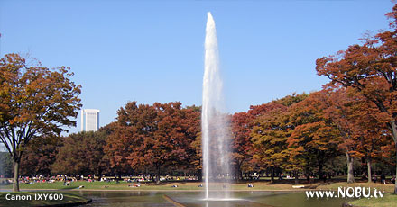 代々木公園