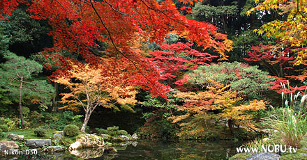 京都